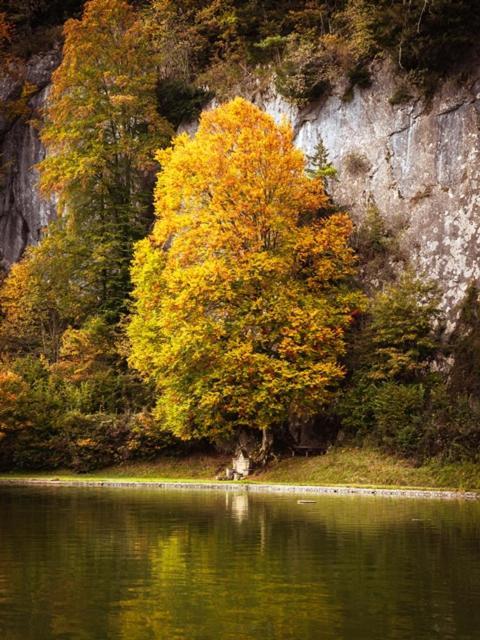 Das Luegstein Кіферсфельден Екстер'єр фото